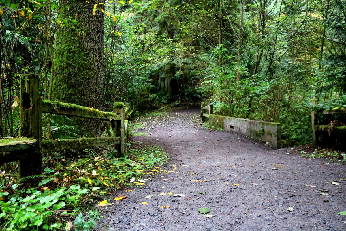 Perry Clawson embarks on a remarkable journey to discover every park in Kirkland amid the pandemic.