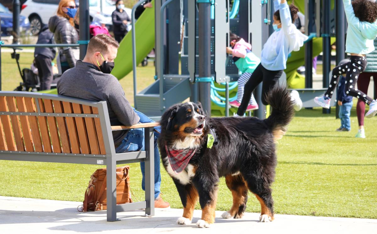 A serene moment at Juanita Beach, highlighting the pet-friendly and recreational charm of the local parks.